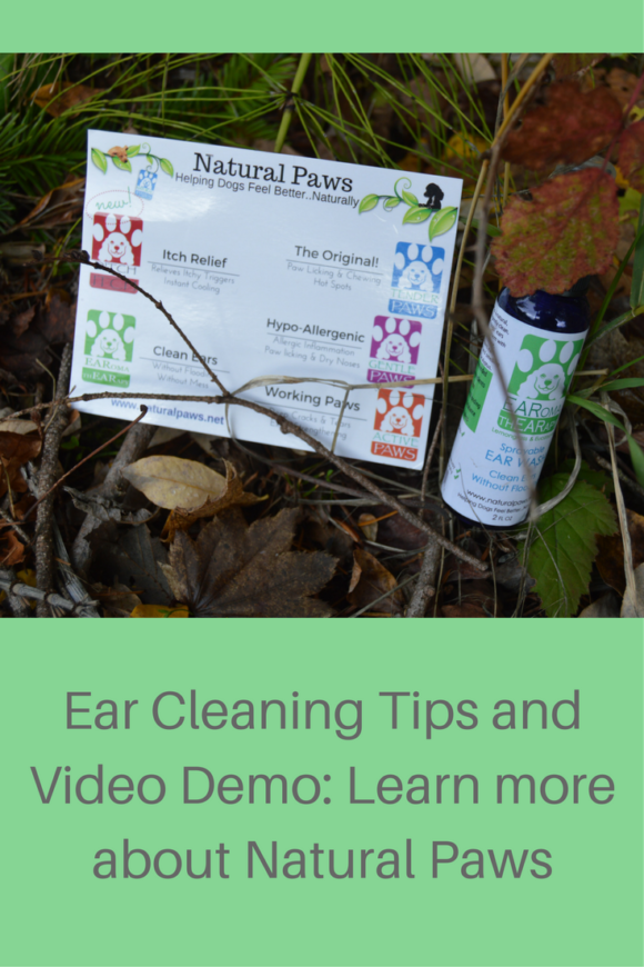 ear-cleaning-tips-and-video-demo-learn-more-about-natural-paws