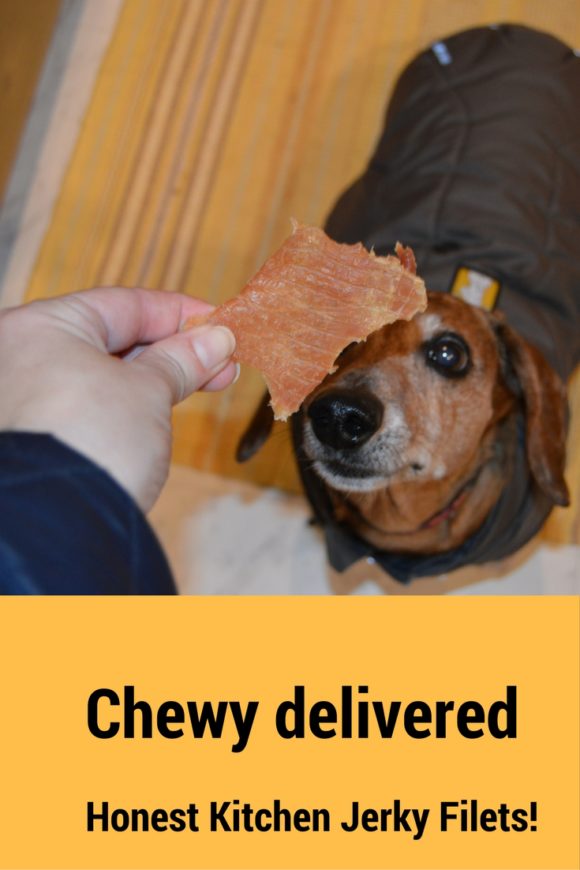 Chewy delivered