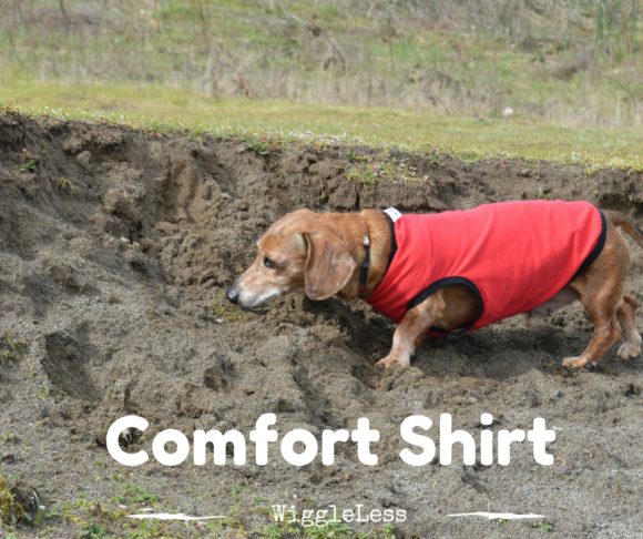 Comfort Shirt