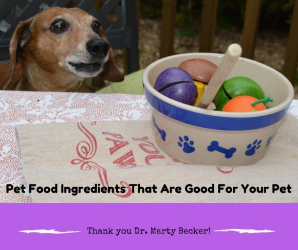 Dog food ingredients 