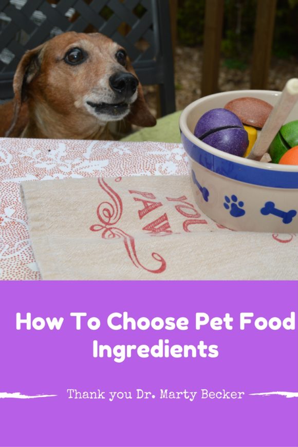 How To Choose Pet Food Ingredients