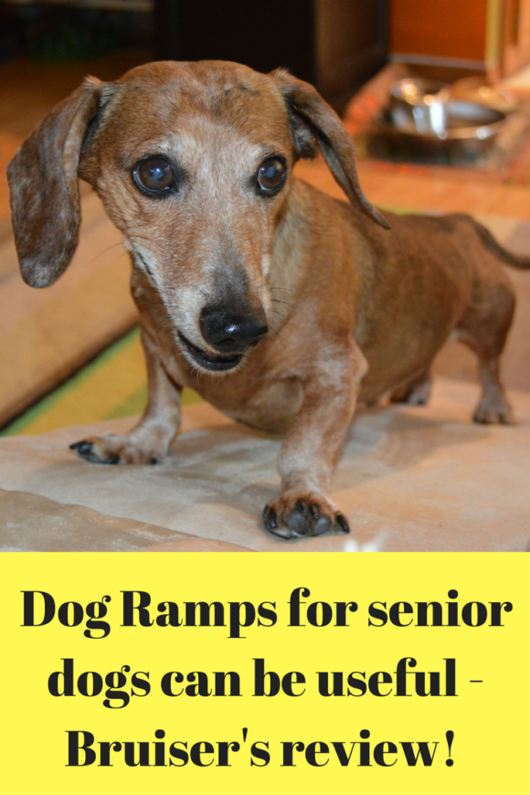 Dog Ramps for senior dogs can be useful! Add heading