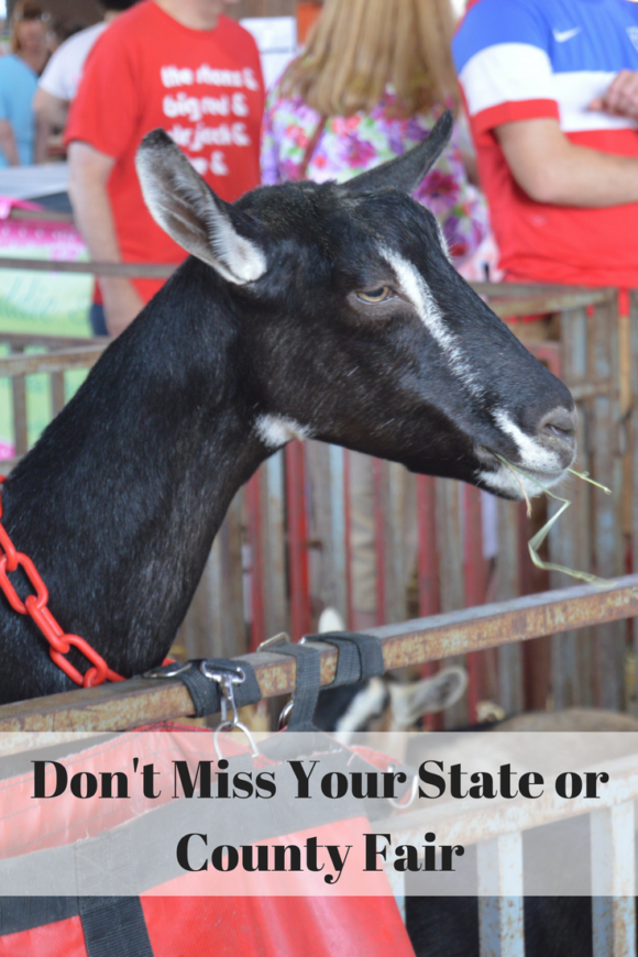 Don't Miss Your State or County Fair