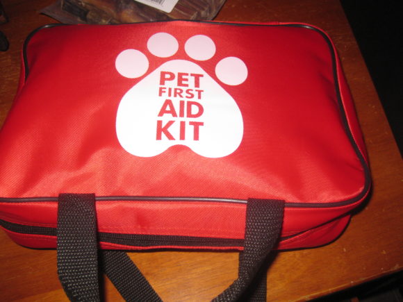Bandages, CPR, Emergencies…oh my! Pet First Aid Basics
