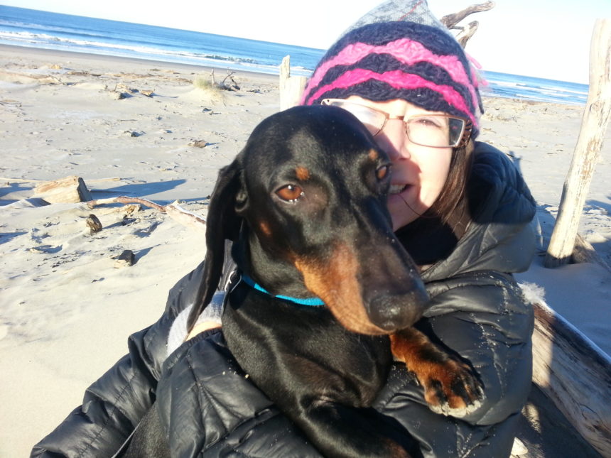 Poisonous Mulch for Dogs Wag and Cluck Wag and Cluck