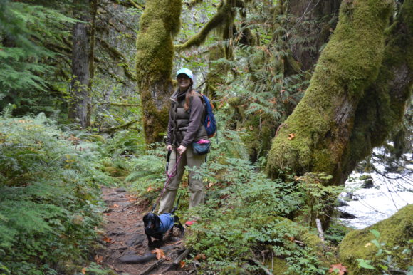 Salmon River Trail Hike: Dogs and Salmon Are Running