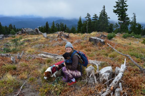 Mt. Hood with Dogs: One of the Seven Wonders