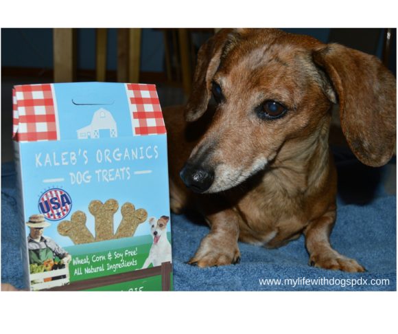 Kaleb’s Organics Dog Treats: Crunchy and Delicious