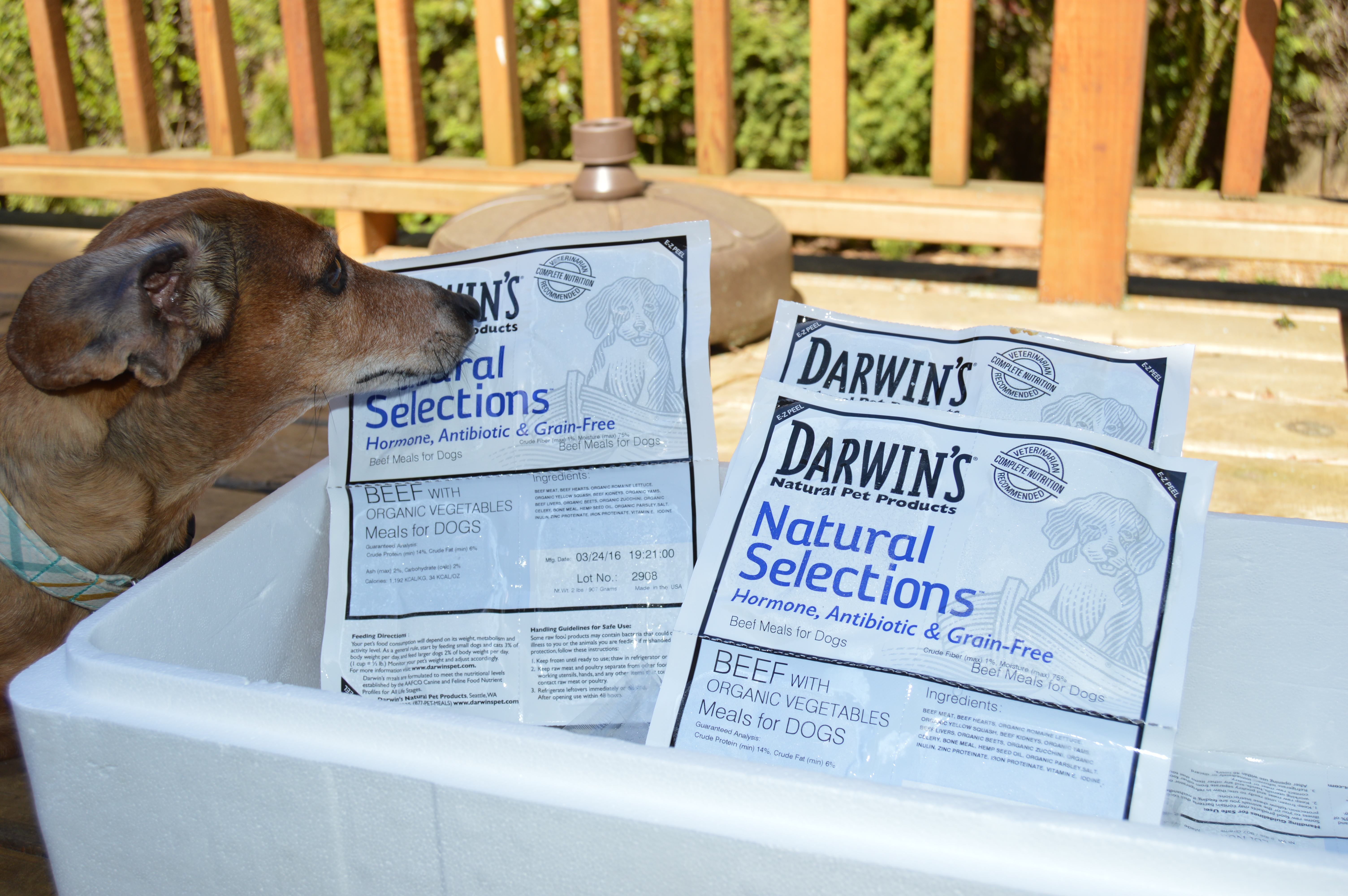 Darwins Review Fresh Food, Raw Diets & Green Tripe Wag and Cluck