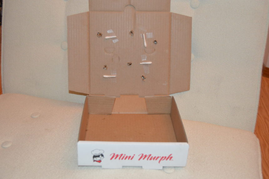 Stinking Box Positive Training: The Basics About Nosework - Wag and Cluck - Wag and ...