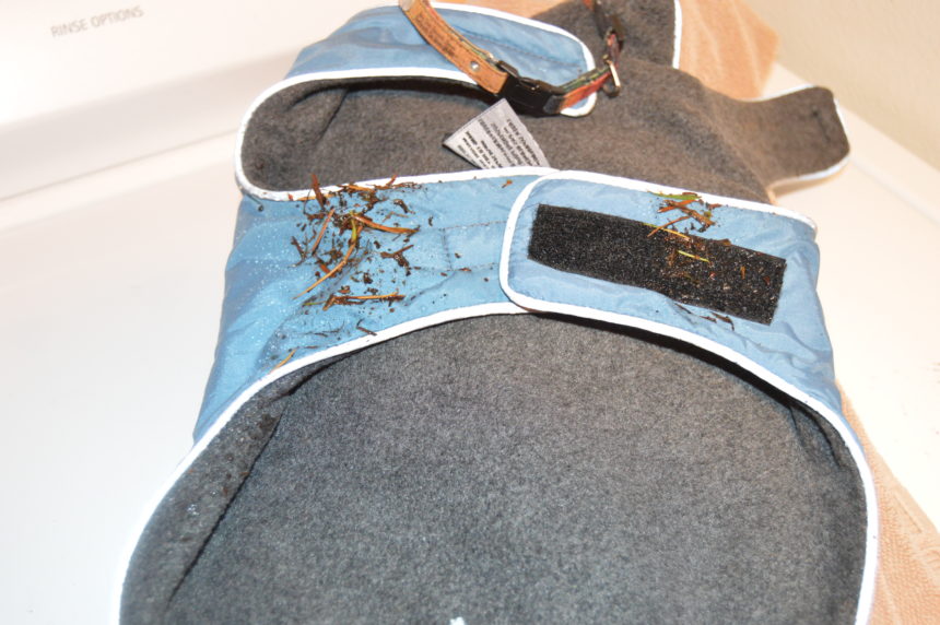 Teckelklub's Sierra Waterproof Dog Coat Tis the Season Wag and Cluck