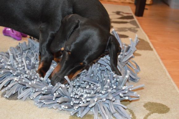 Snuffle Mat: Time to Hunt