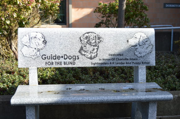 Guide Dogs for the Blind: A Campus Visit