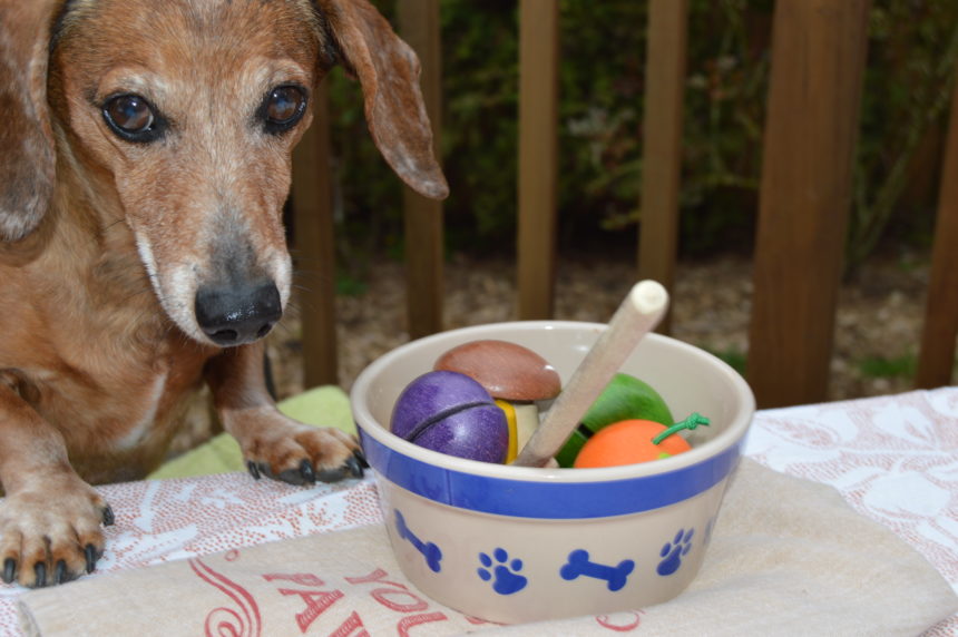 Choosing the Right Pet Foods A Q&A with Dr. Marty Becker ad Wag and