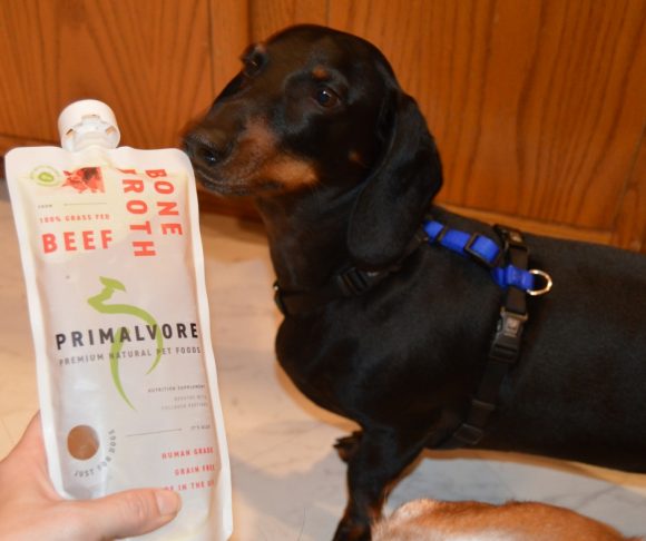 Primalvore Bone Broth: A Review with Senior Bruiser & the Hounds #ad