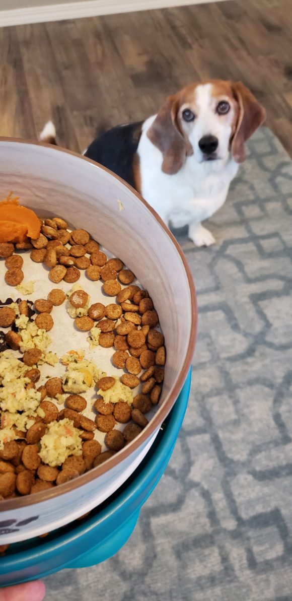 Fresh Food: Farmer's Dog Food Review - Wag and Cluck