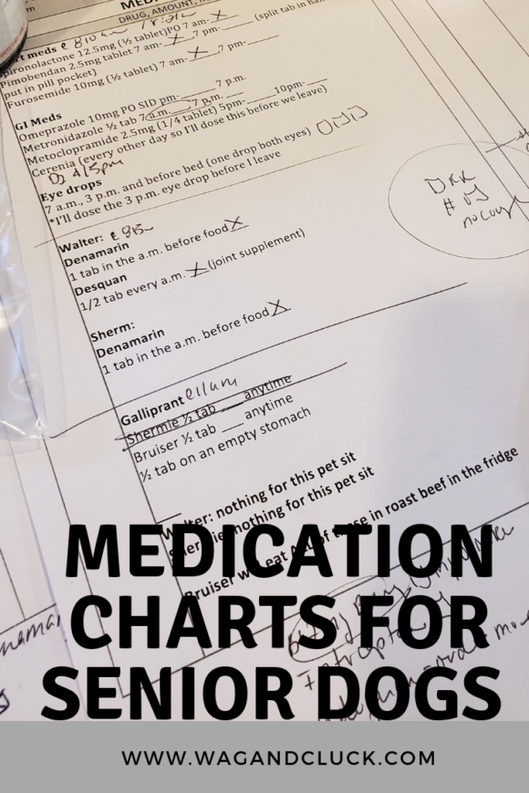 Senior Dogs Why Medication Charts are Helpful Wag and Cluck