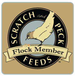 Scratch and Peck feeds flock member