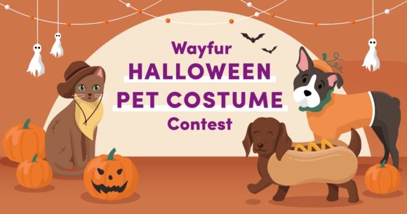 Calling All Pet Lovers: Enter the Wayfur Pet Halloween Costume Contest
