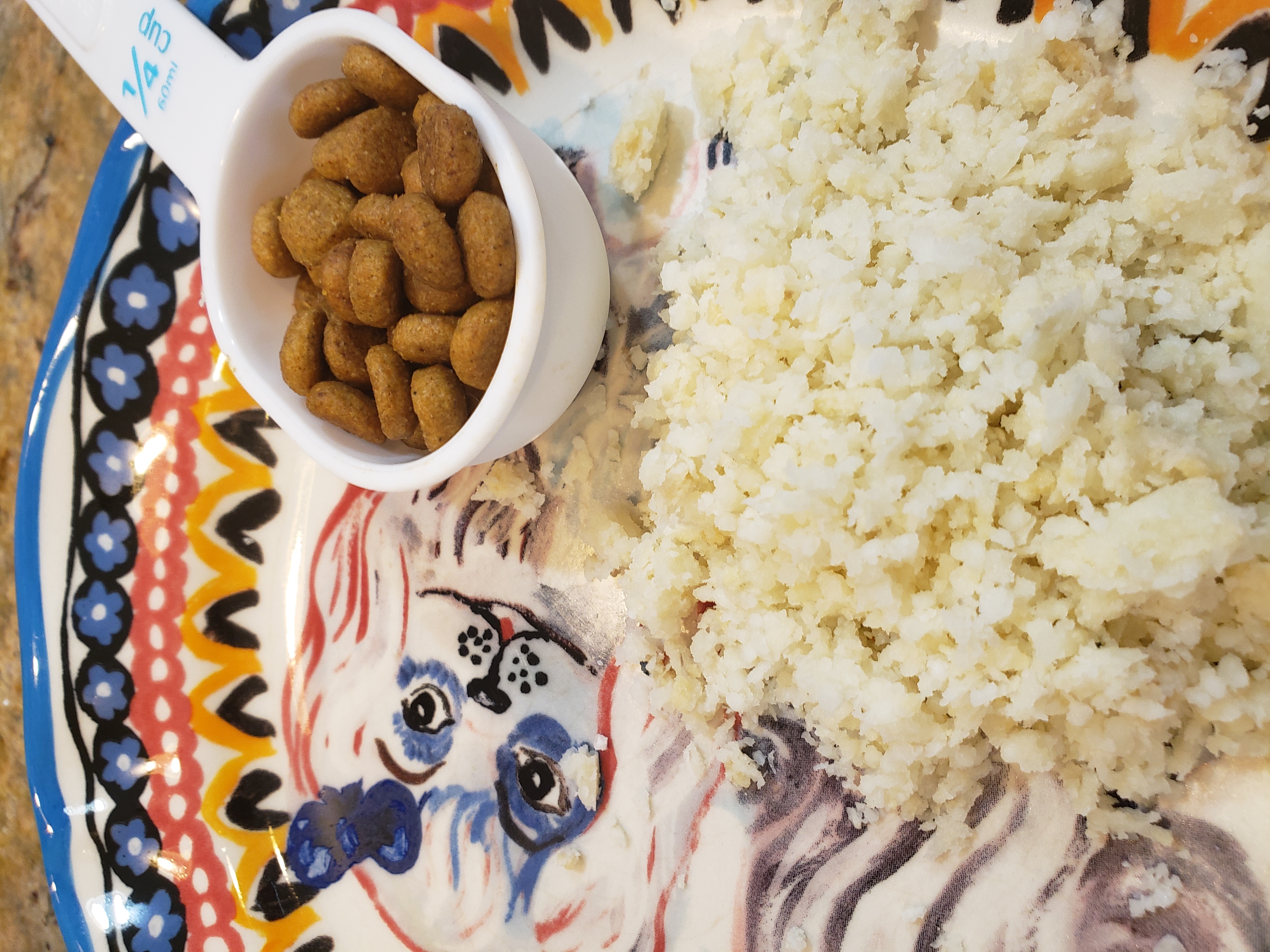 what does white rice do for dogs