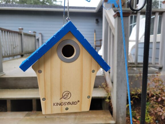 Why You Should Have a Bird House