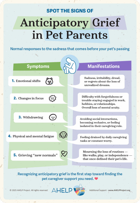 What Is Anticipatory Grief: According to An Expert
