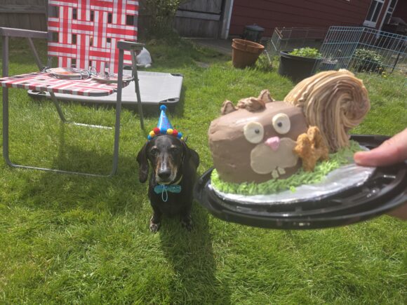 An ode to Walter on his 14th birthday